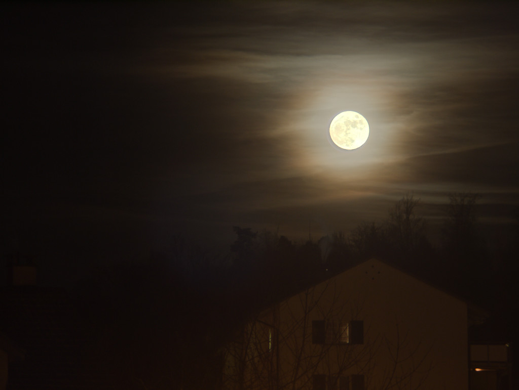 "Weihnachts-Vollmond" über Uster